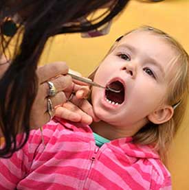 Dental Cleaning and Examinations
